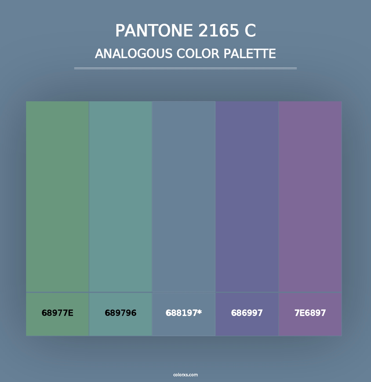 PANTONE 2165 C - Analogous Color Palette