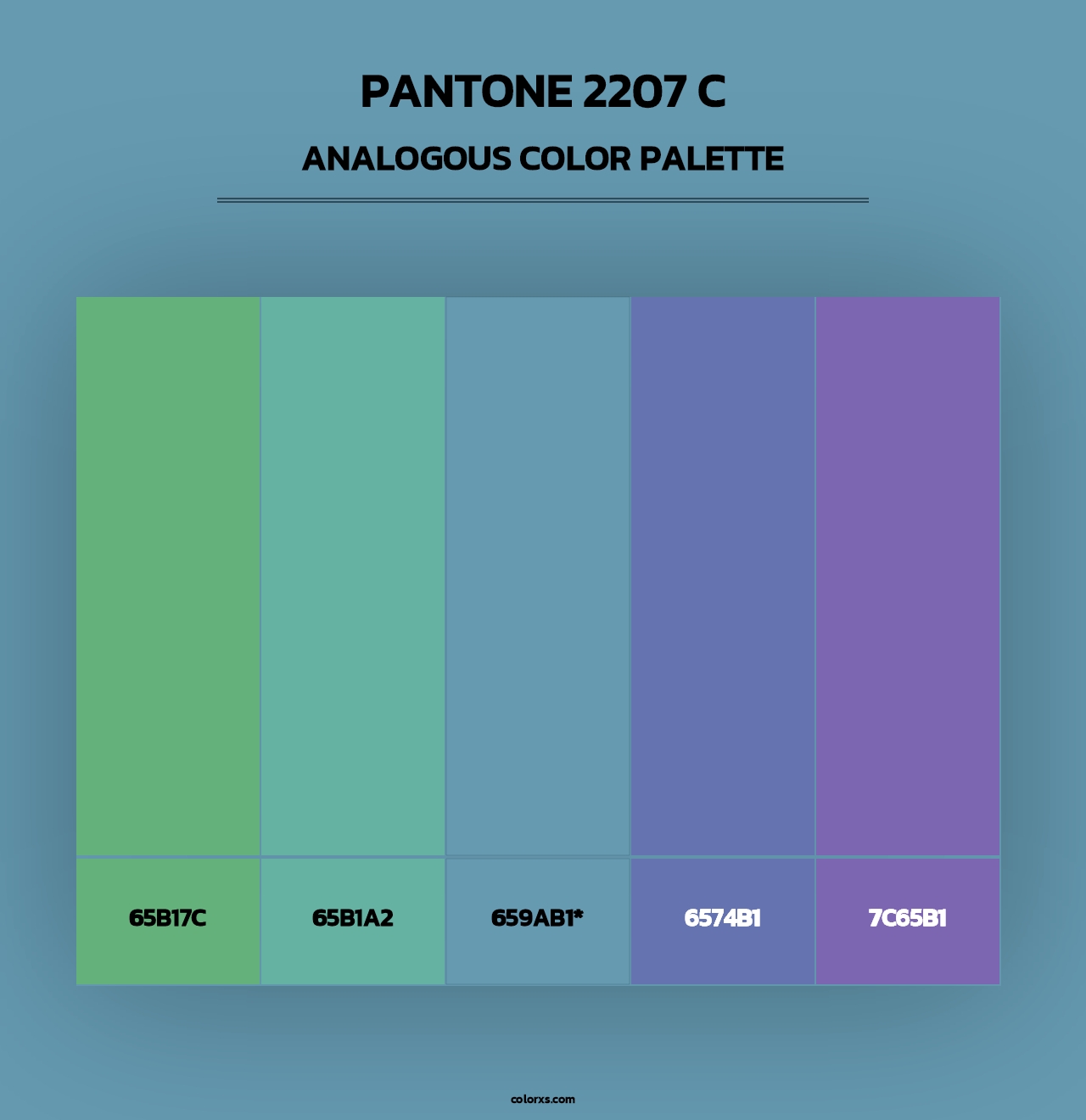 PANTONE 2207 C - Analogous Color Palette