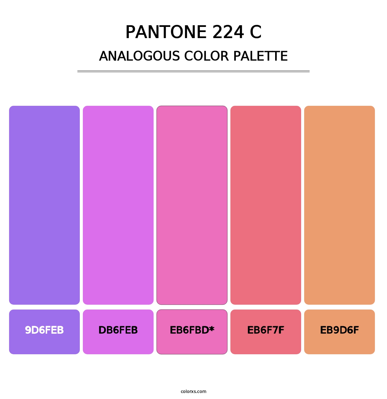 PANTONE 224 C - Analogous Color Palette