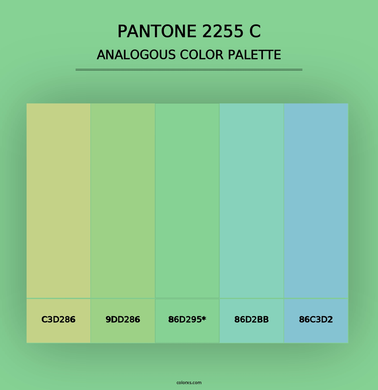 PANTONE 2255 C - Analogous Color Palette