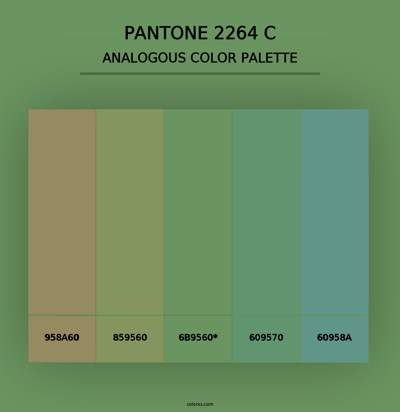 PANTONE 2264 C - Analogous Color Palette