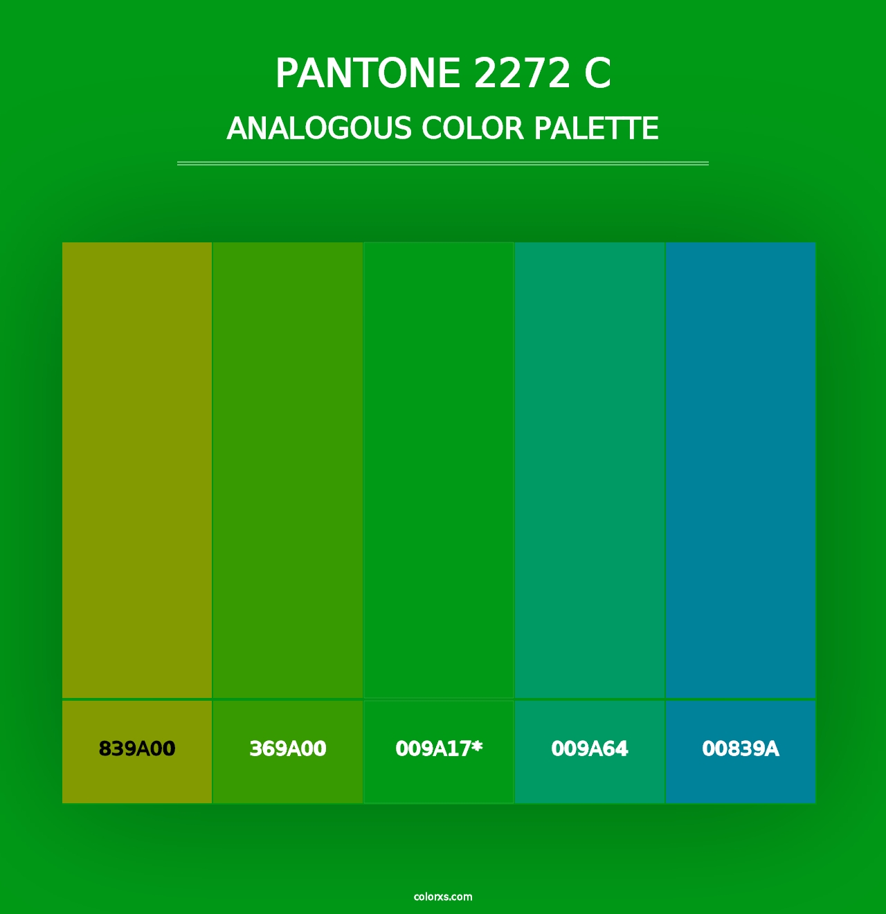 PANTONE 2272 C - Analogous Color Palette