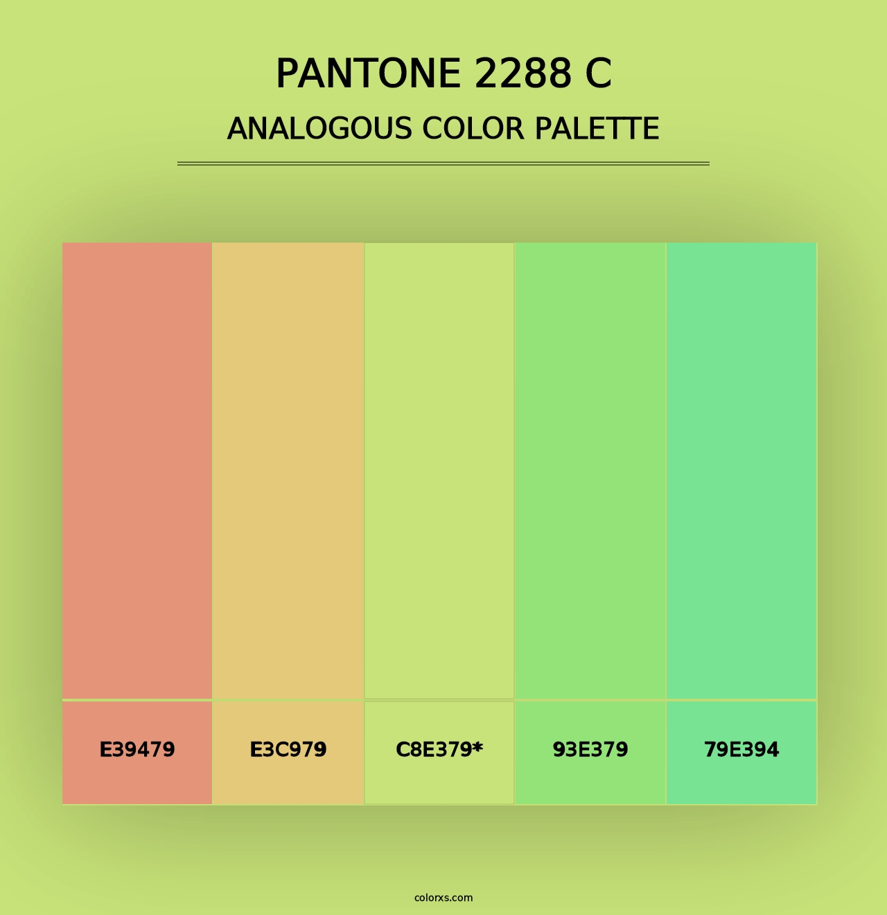 PANTONE 2288 C - Analogous Color Palette