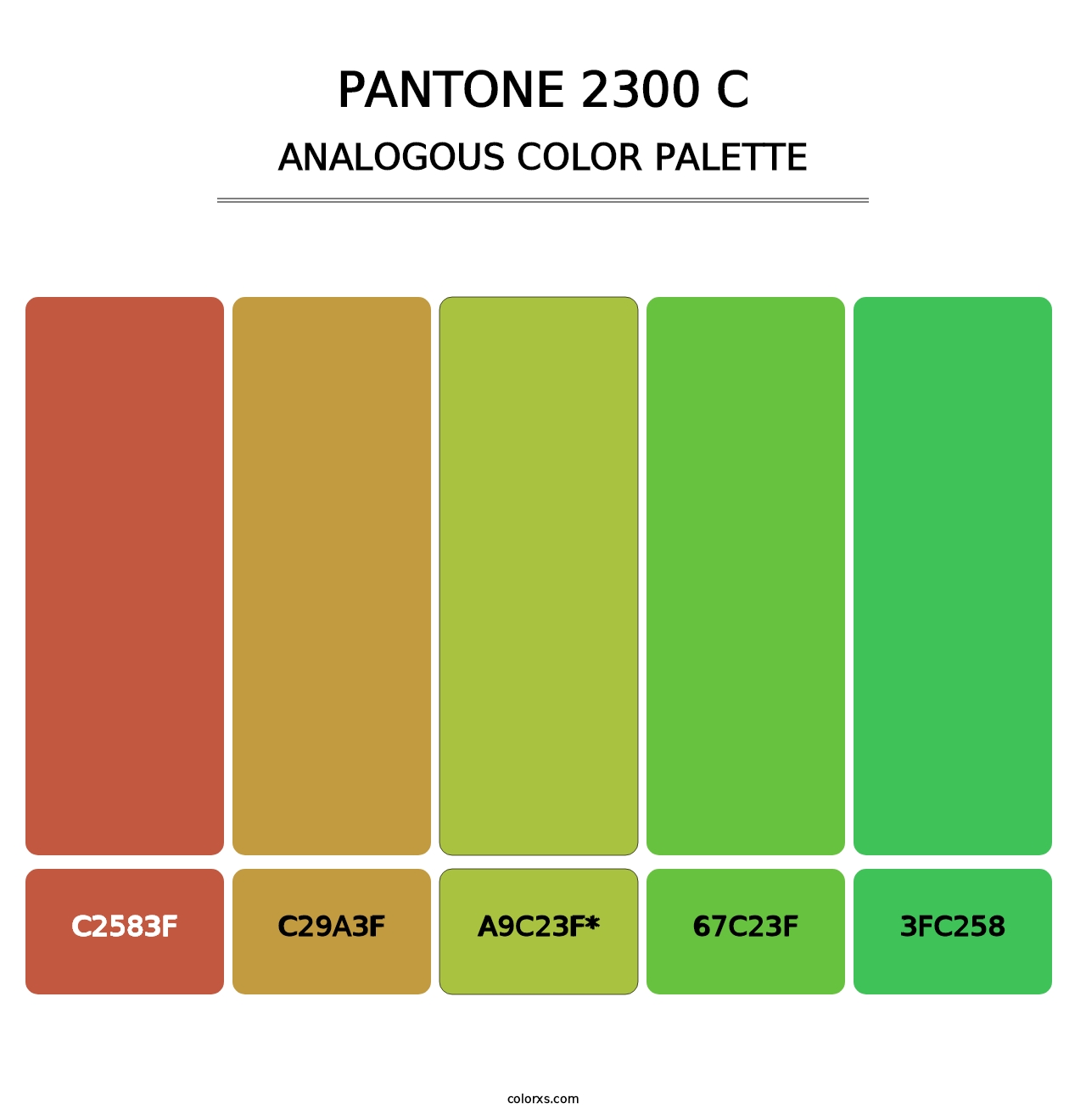 PANTONE 2300 C - Analogous Color Palette