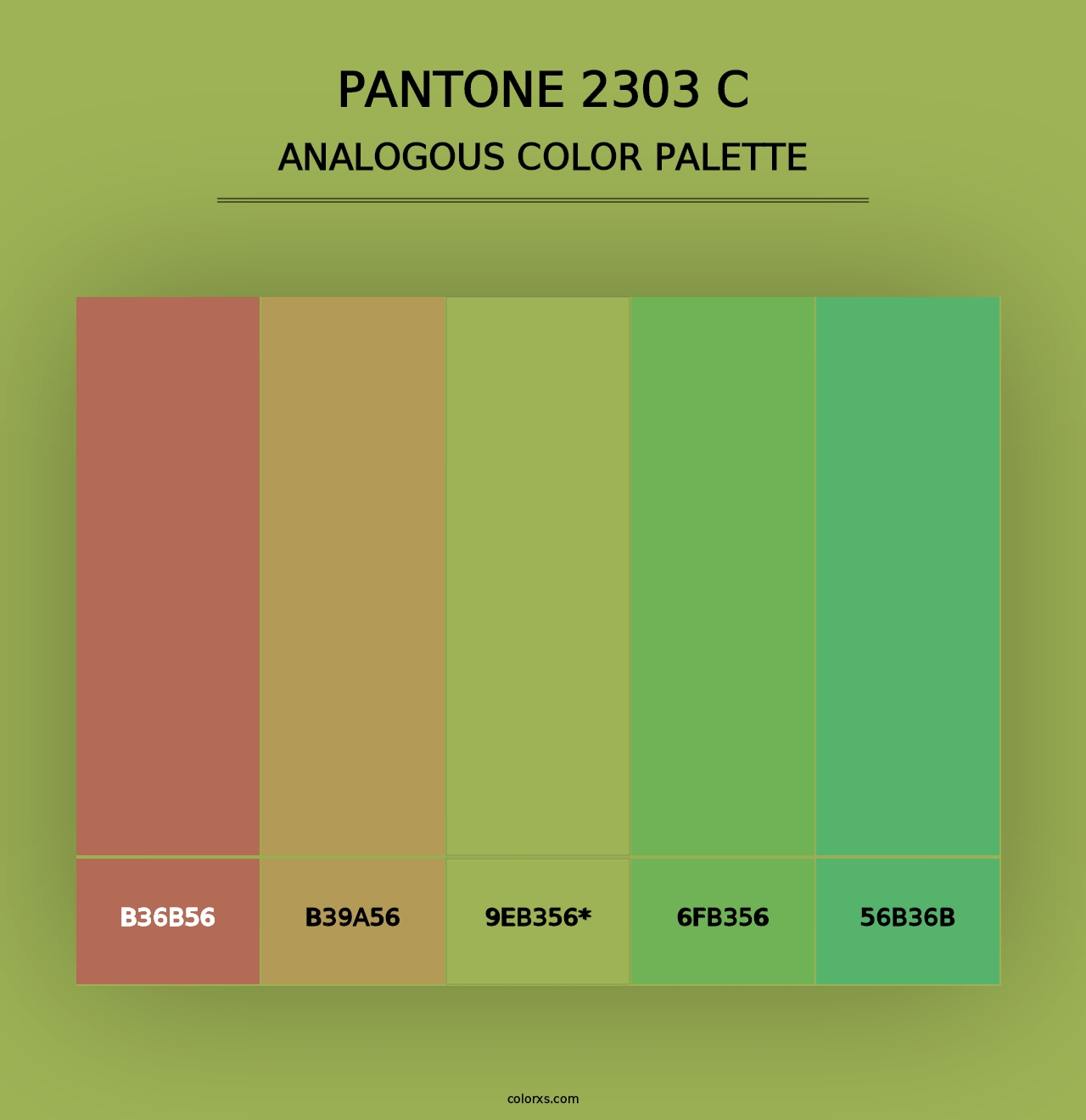 PANTONE 2303 C - Analogous Color Palette