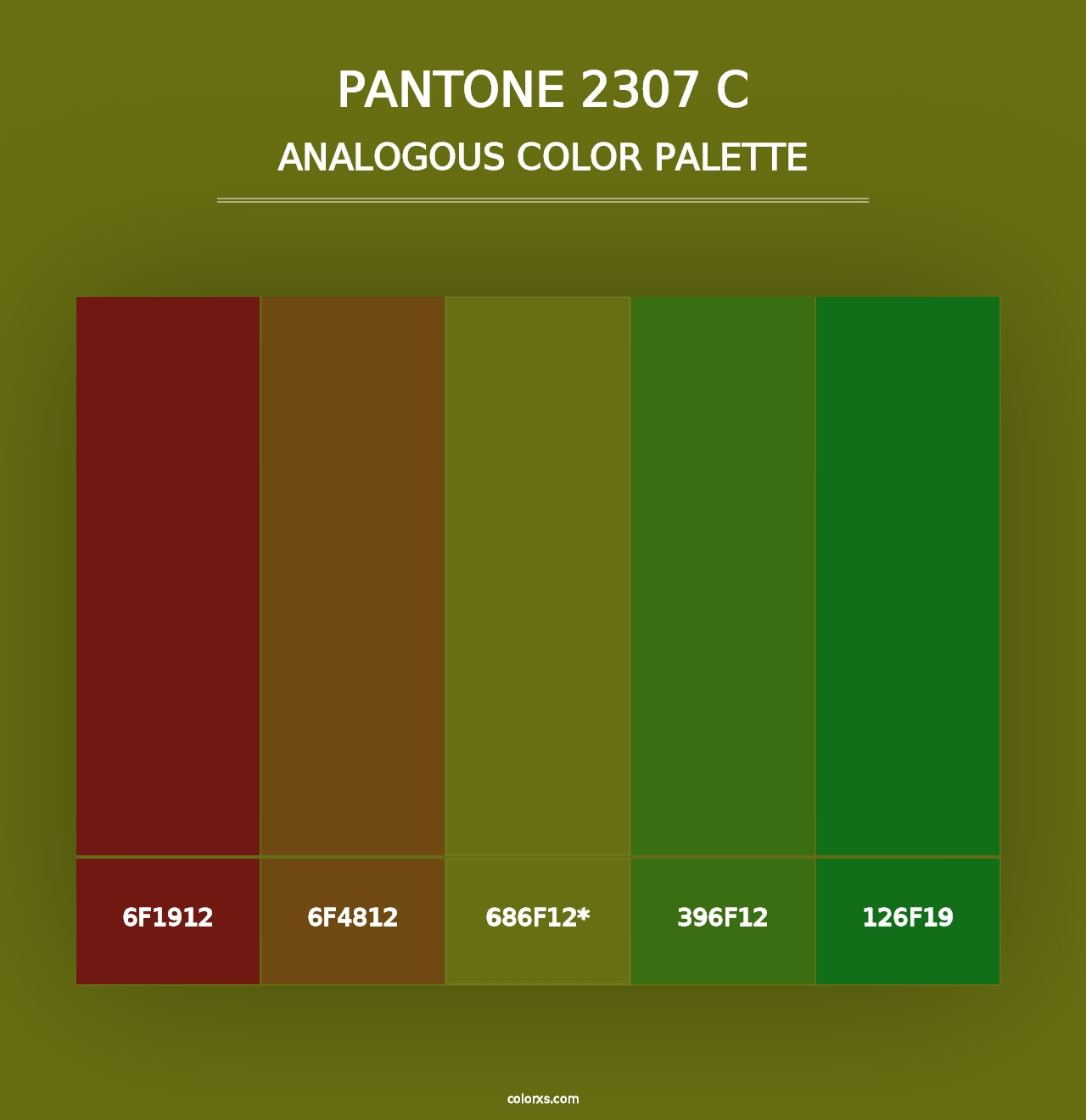 PANTONE 2307 C - Analogous Color Palette