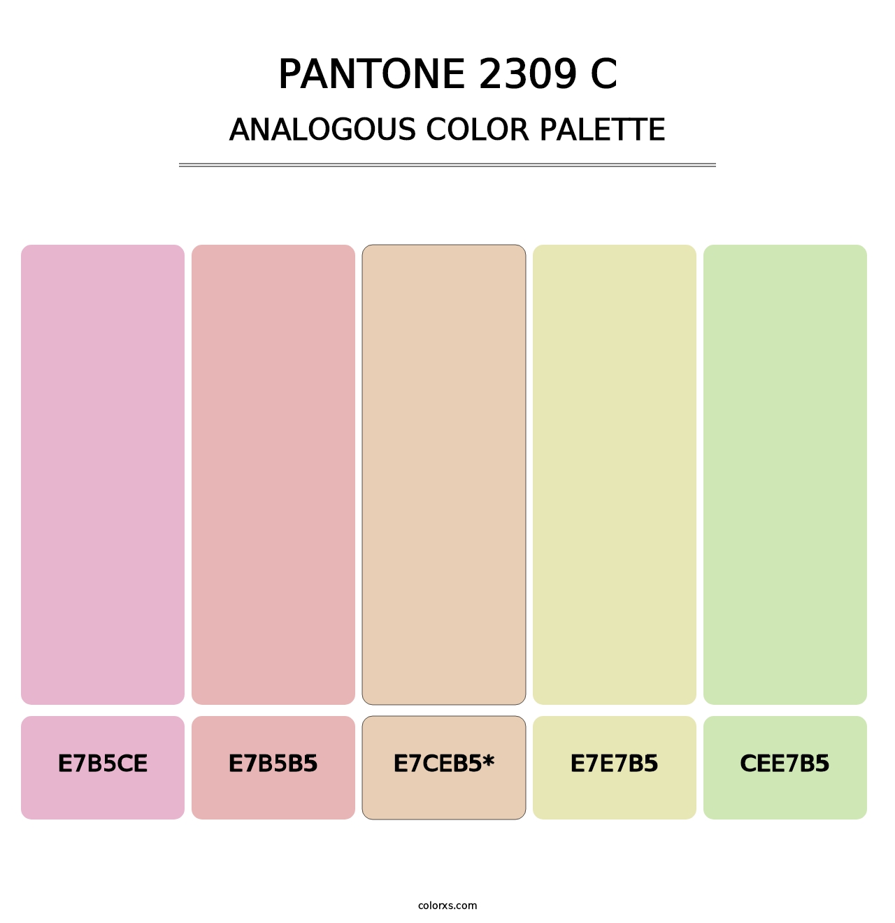 PANTONE 2309 C - Analogous Color Palette