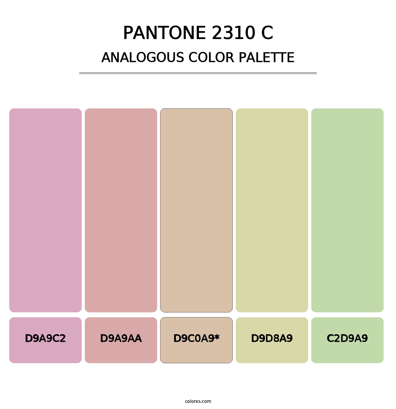 PANTONE 2310 C - Analogous Color Palette