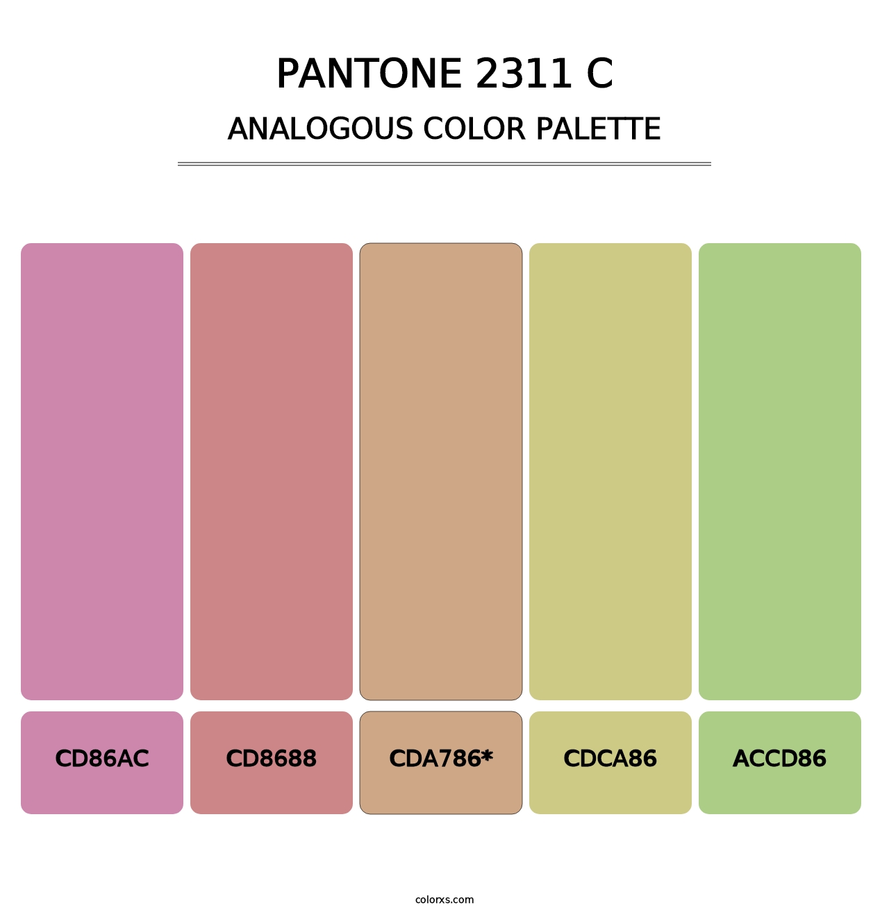 PANTONE 2311 C - Analogous Color Palette