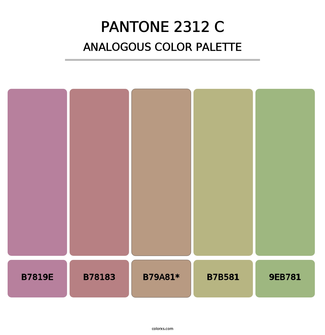 PANTONE 2312 C - Analogous Color Palette