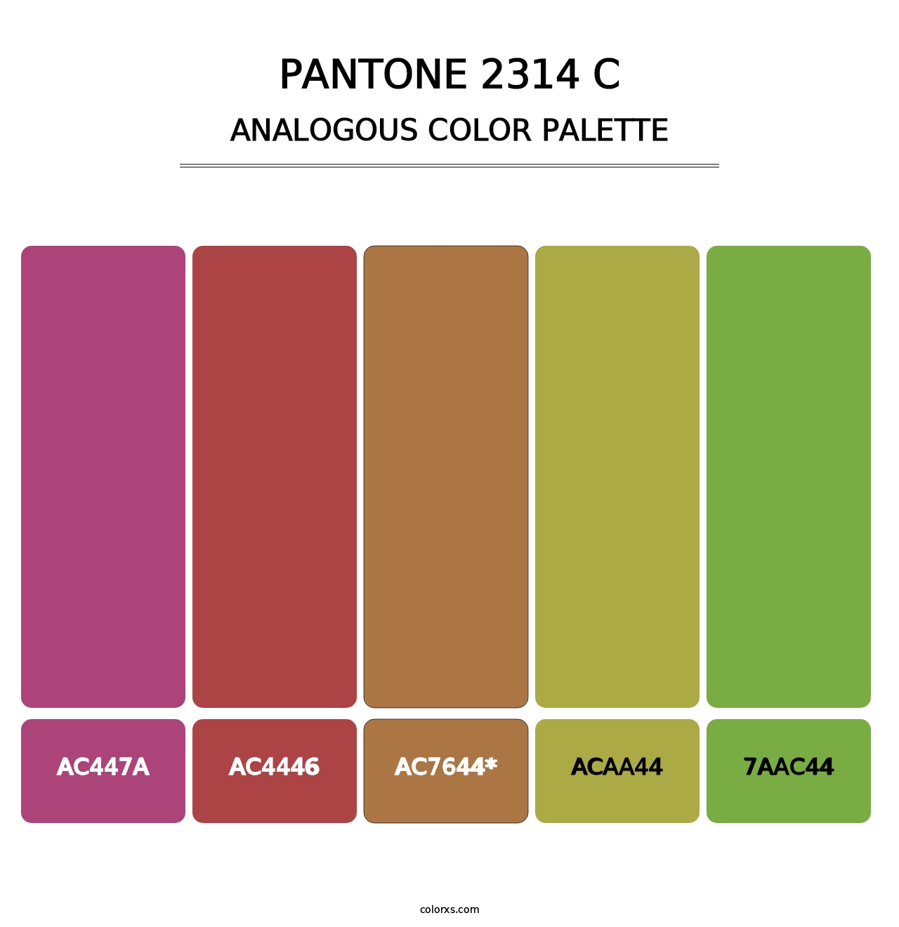 PANTONE 2314 C - Analogous Color Palette