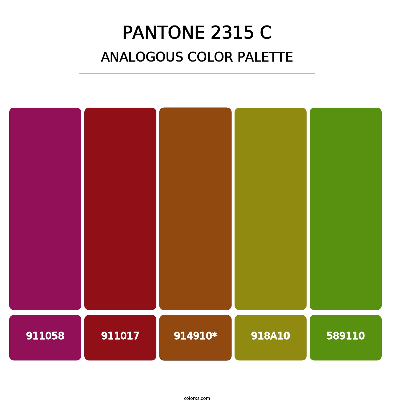 PANTONE 2315 C - Analogous Color Palette