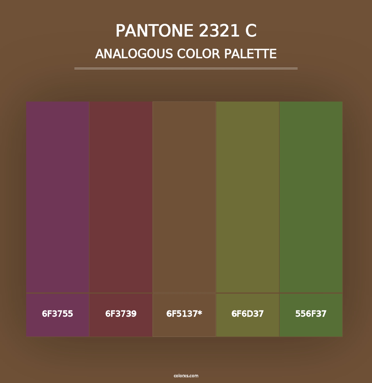 PANTONE 2321 C - Analogous Color Palette