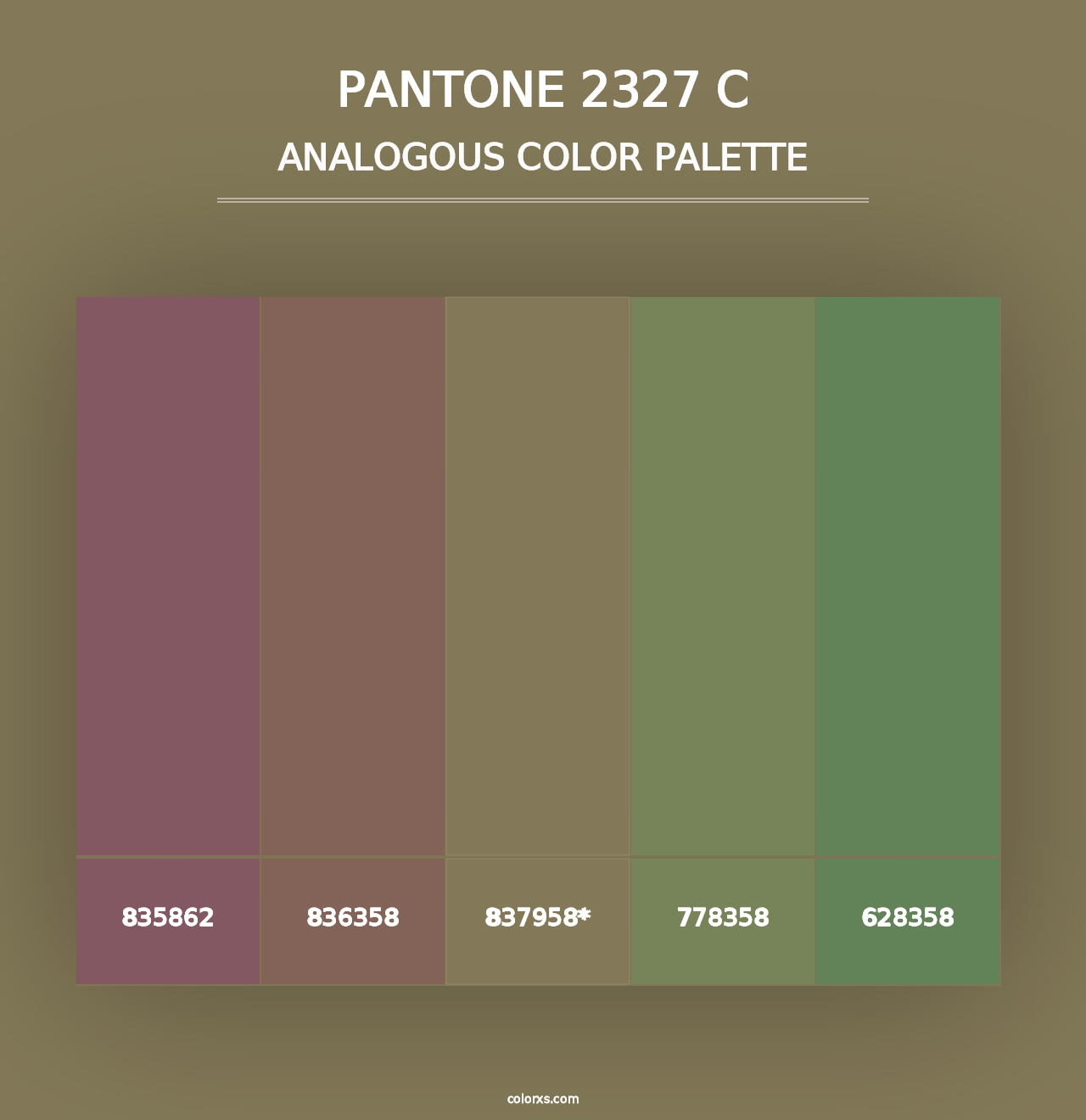 PANTONE 2327 C - Analogous Color Palette