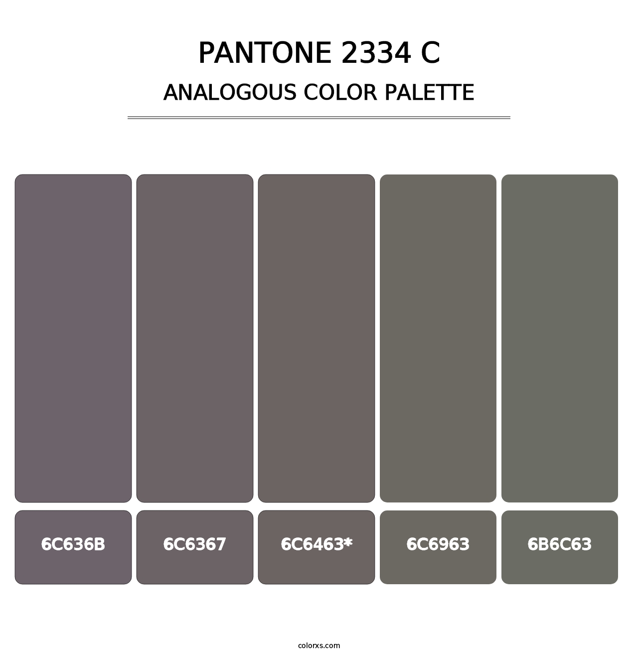 PANTONE 2334 C - Analogous Color Palette