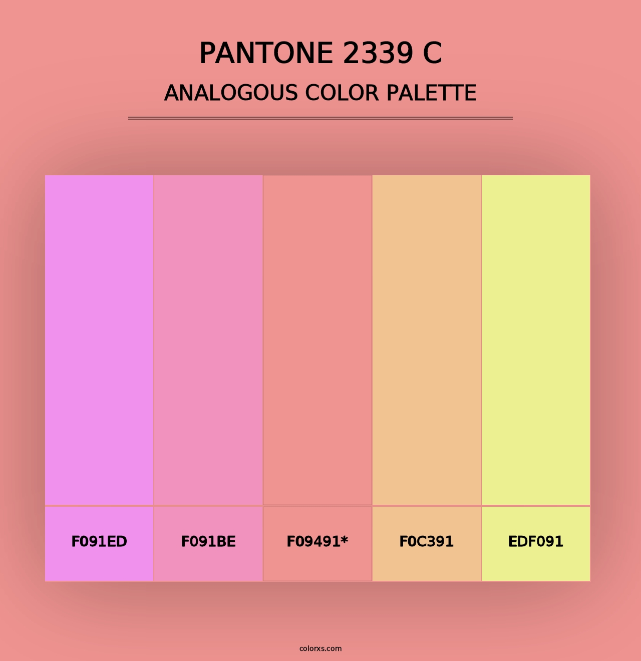 PANTONE 2339 C - Analogous Color Palette