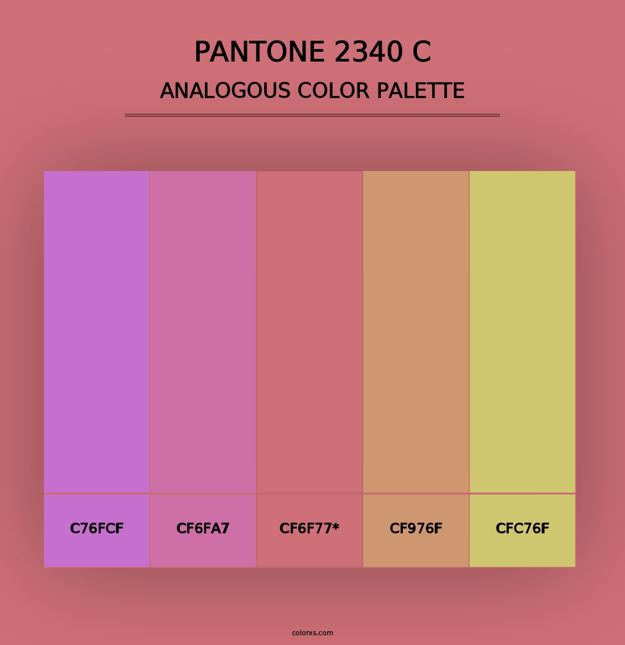 PANTONE 2340 C - Analogous Color Palette