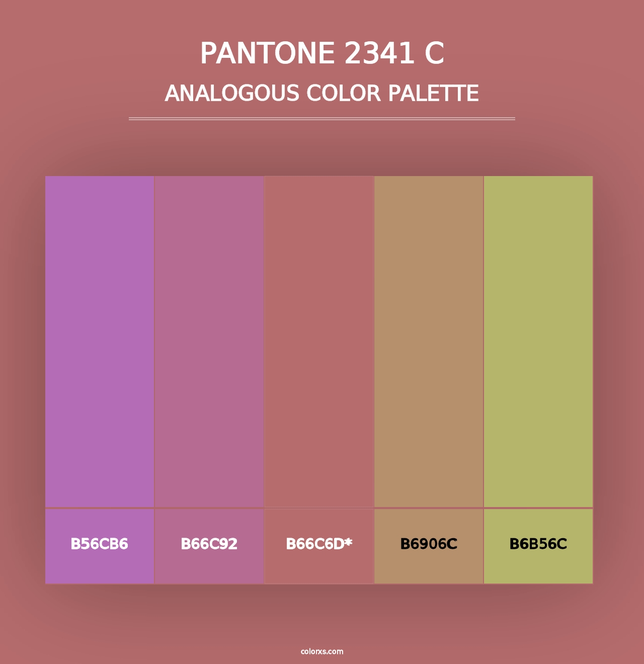 PANTONE 2341 C - Analogous Color Palette