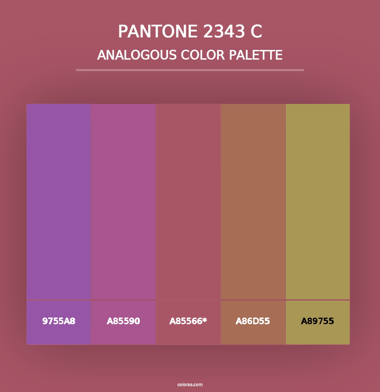 PANTONE 2343 C - Analogous Color Palette