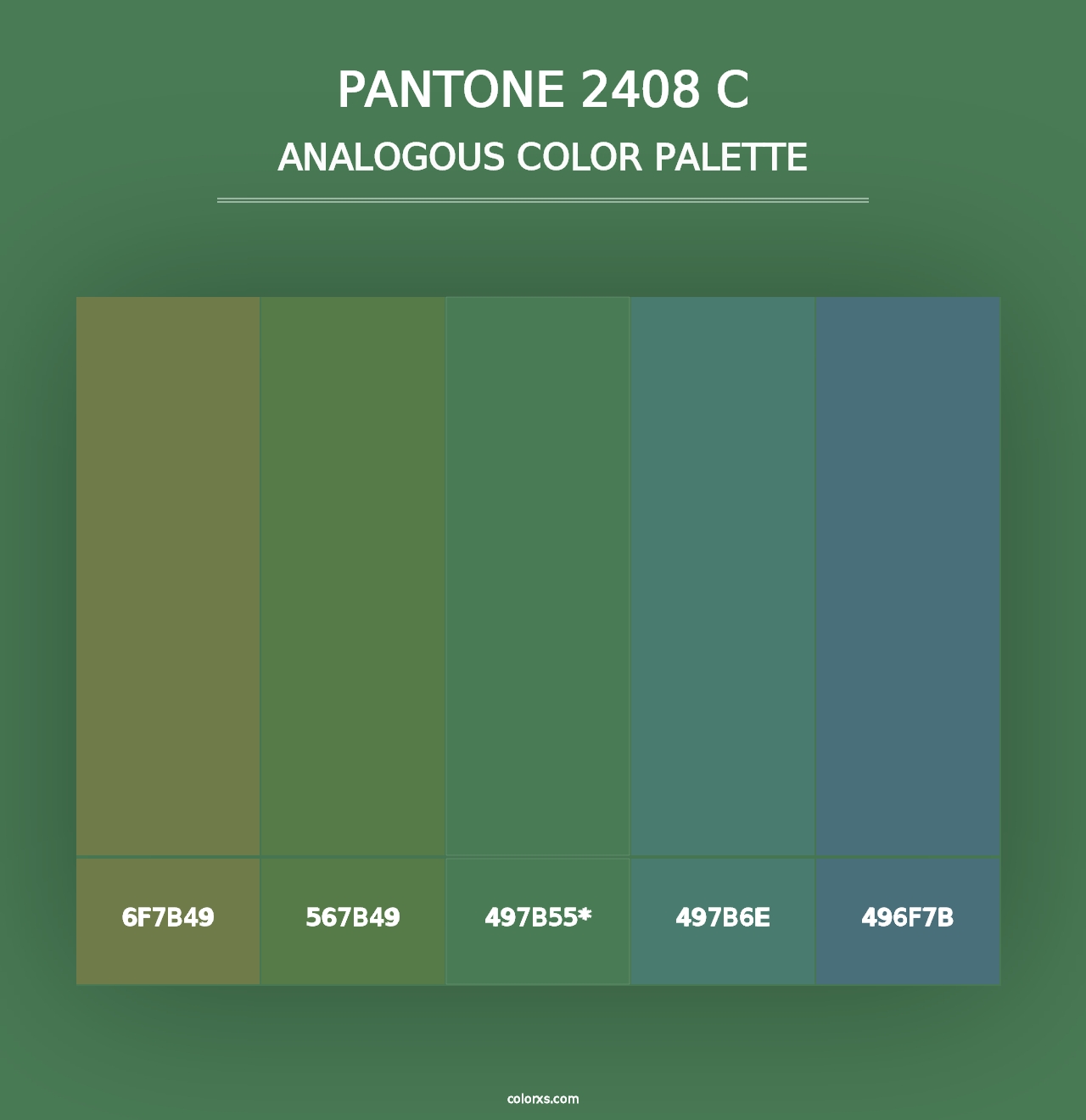 PANTONE 2408 C - Analogous Color Palette