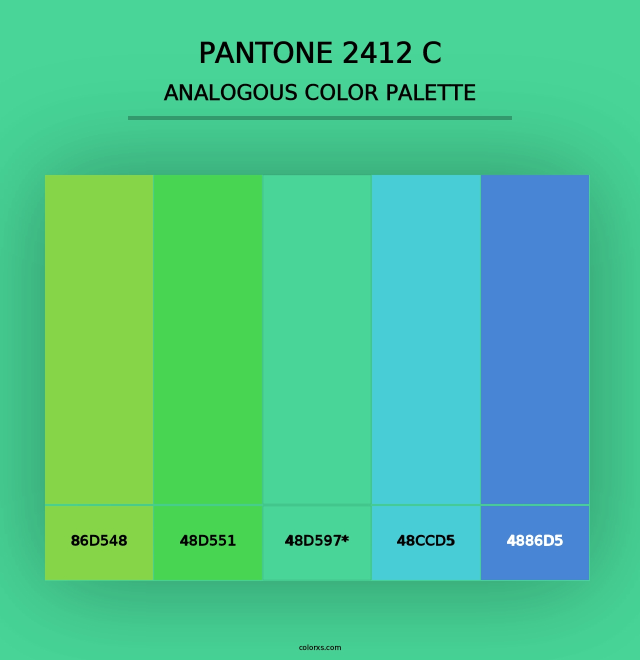 PANTONE 2412 C - Analogous Color Palette