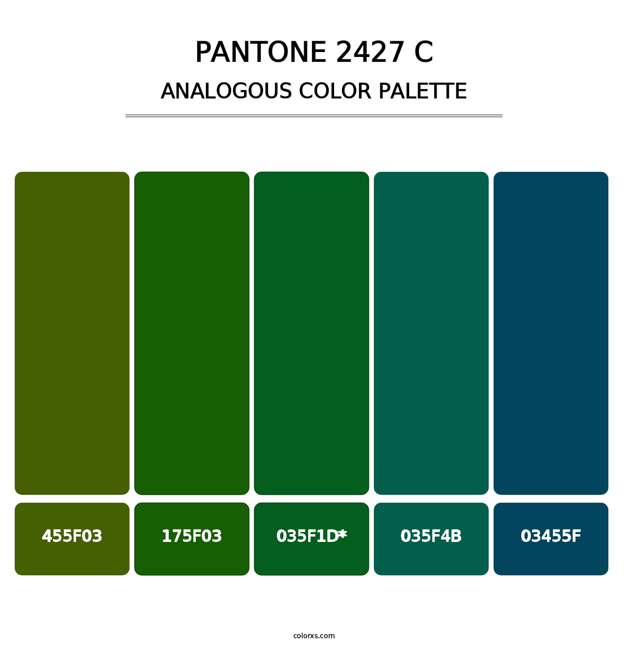 PANTONE 2427 C - Analogous Color Palette