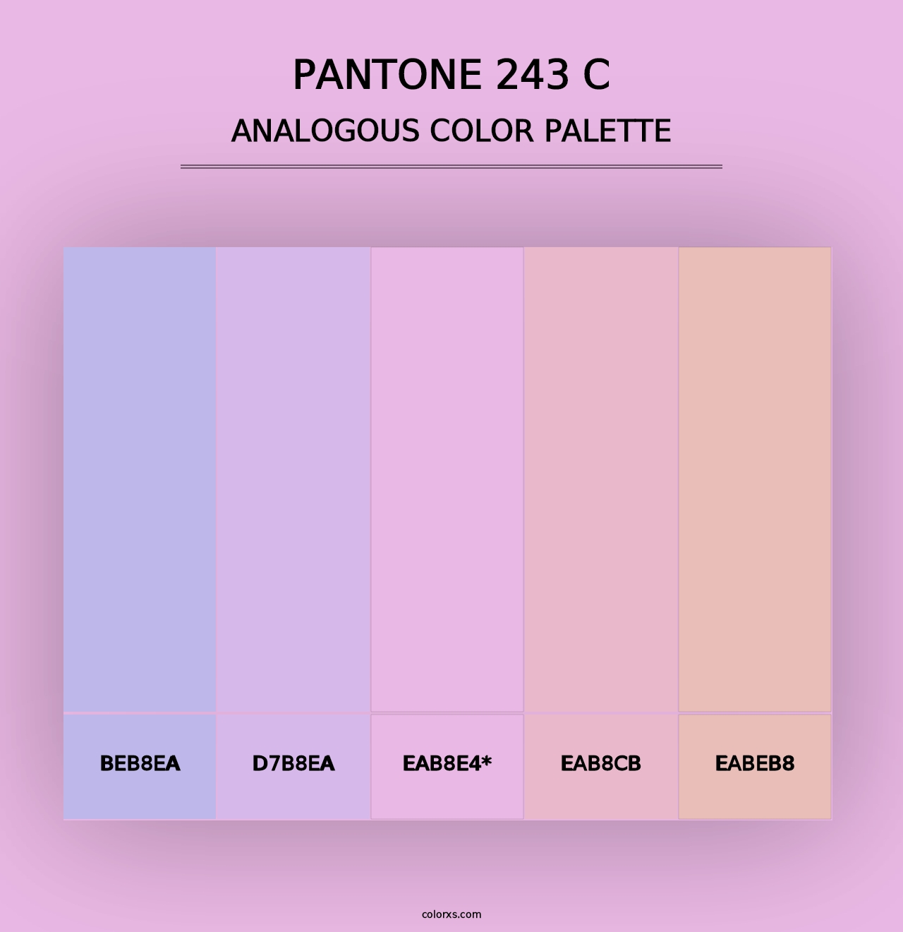 PANTONE 243 C - Analogous Color Palette