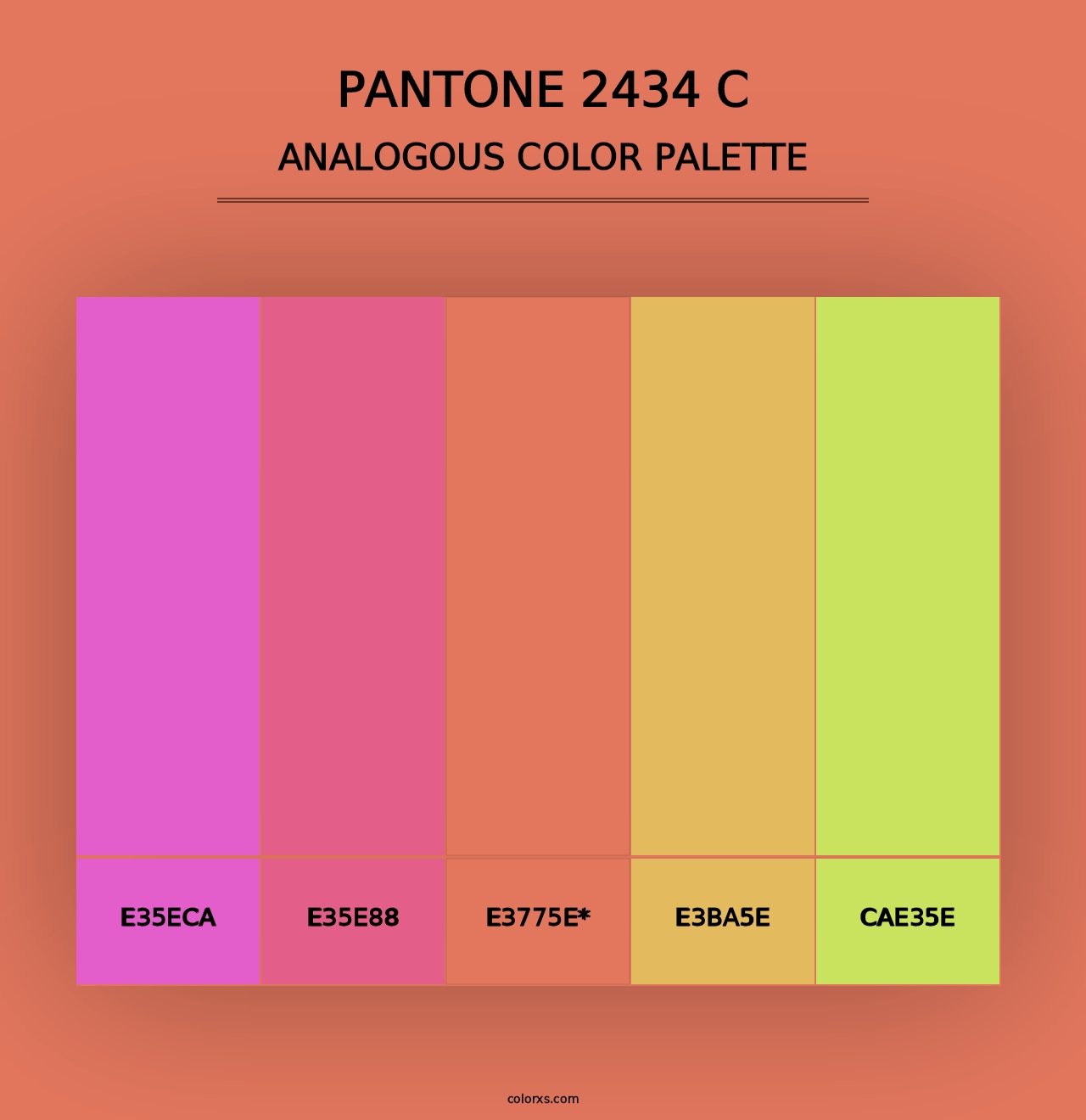 PANTONE 2434 C - Analogous Color Palette