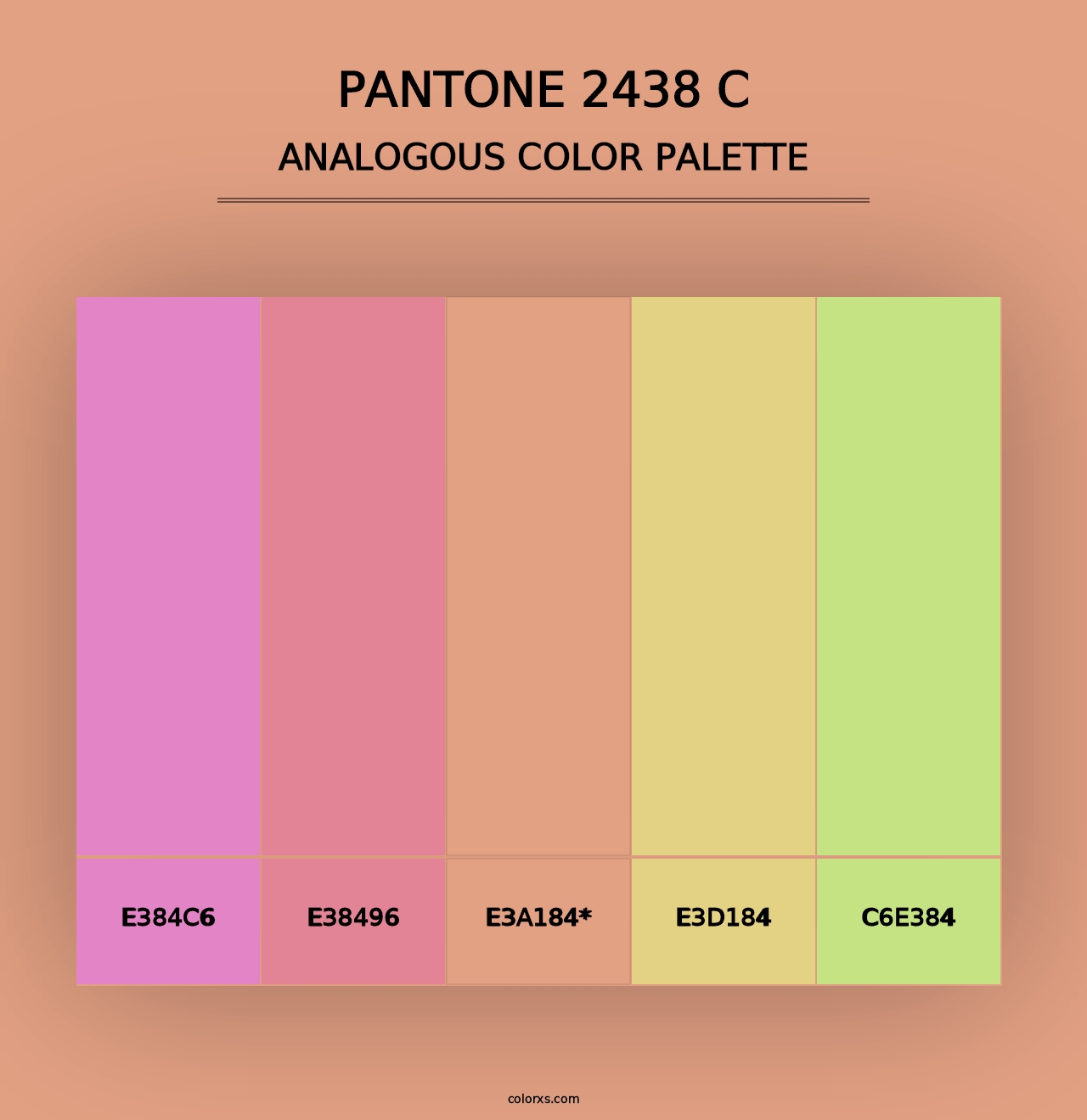 PANTONE 2438 C - Analogous Color Palette