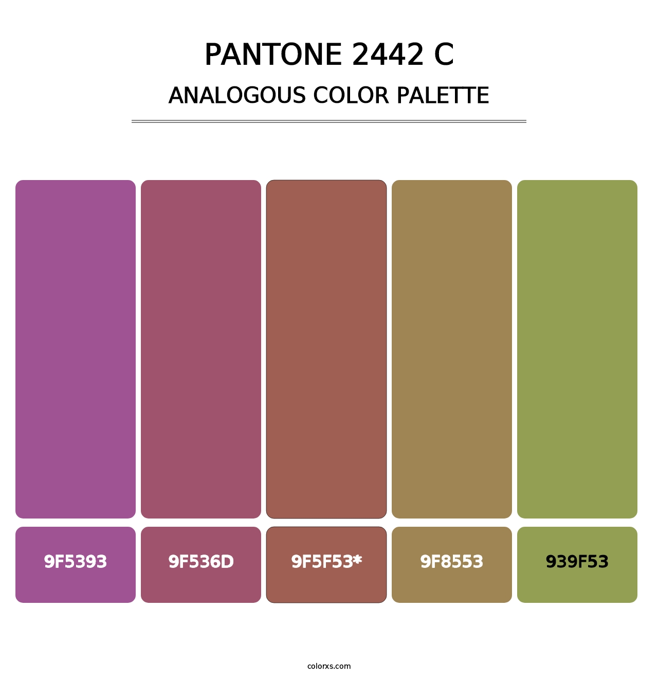 PANTONE 2442 C - Analogous Color Palette