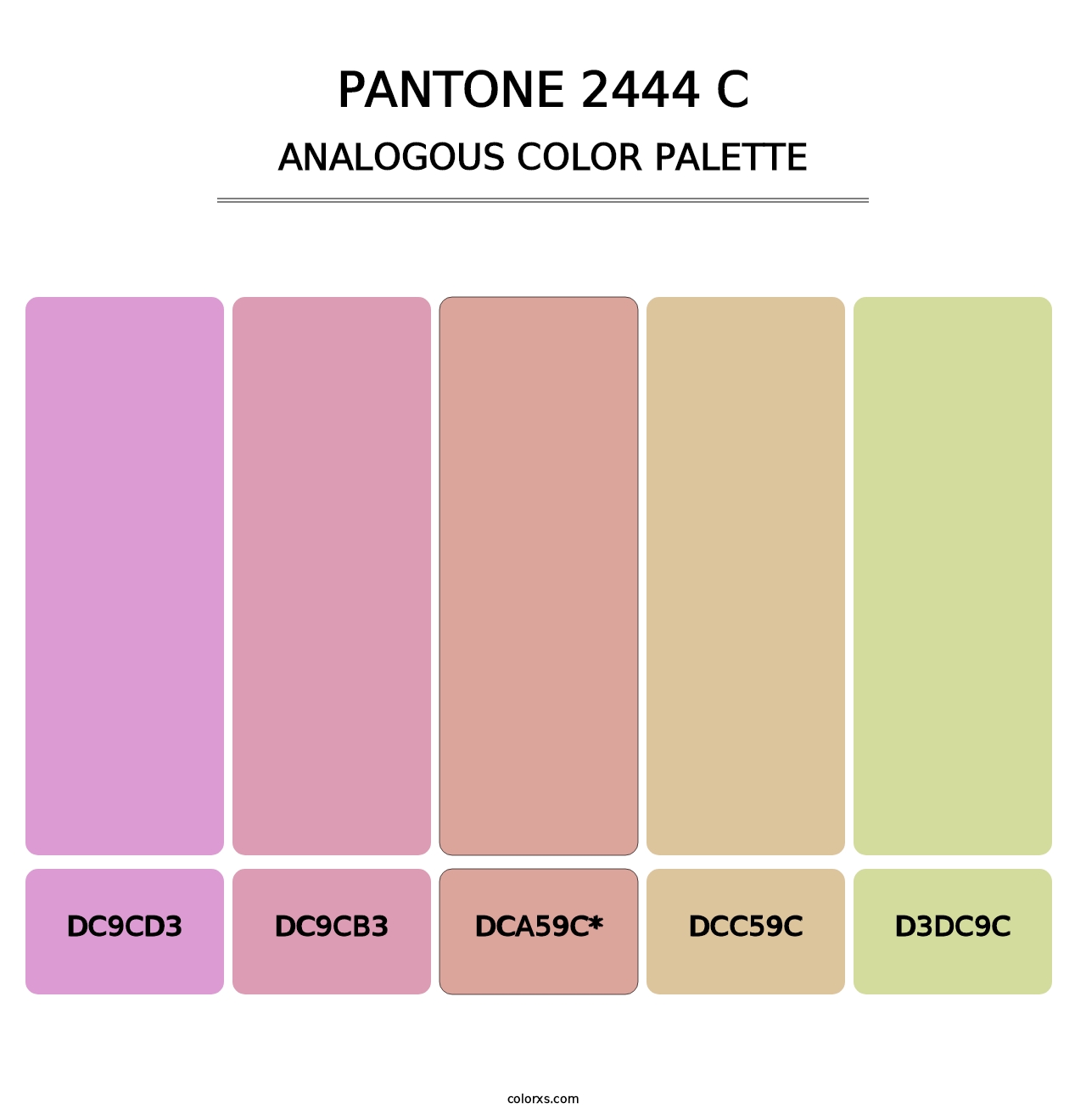 PANTONE 2444 C - Analogous Color Palette