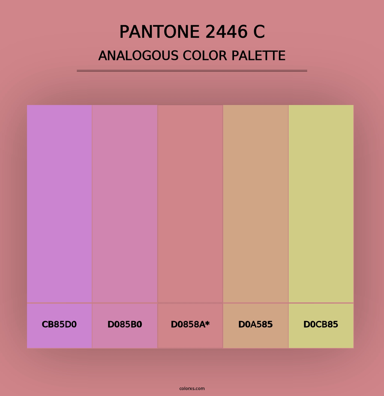 PANTONE 2446 C - Analogous Color Palette