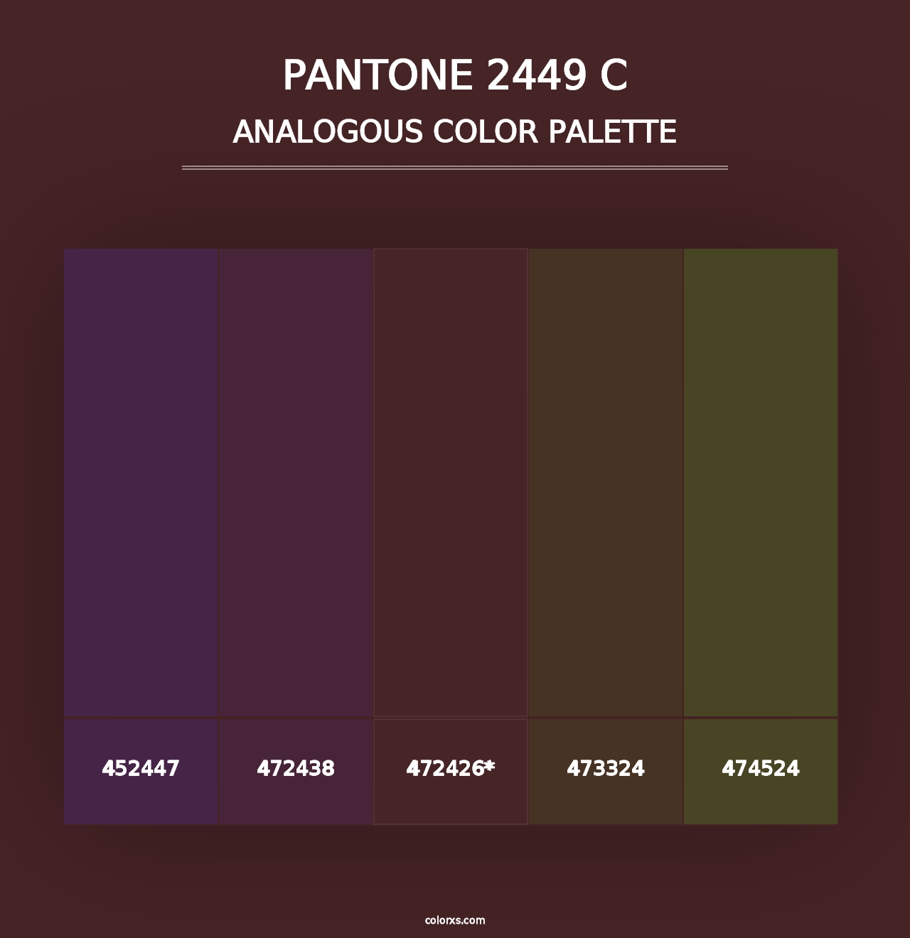 PANTONE 2449 C - Analogous Color Palette