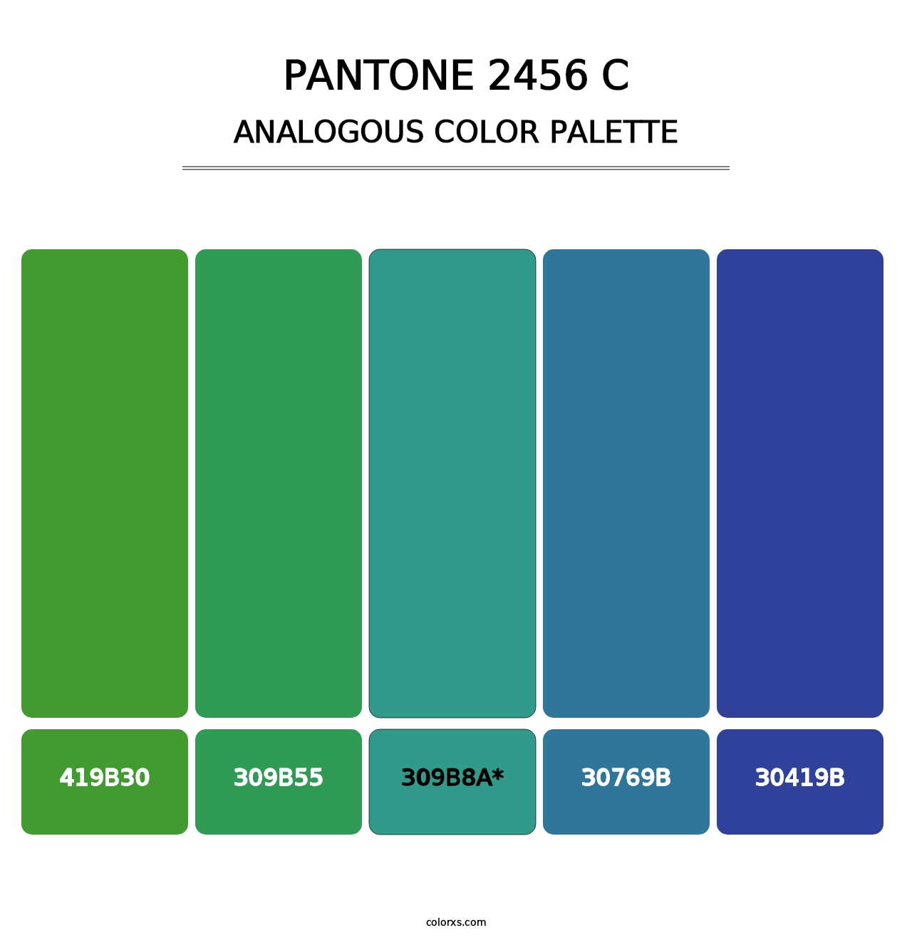 PANTONE 2456 C - Analogous Color Palette