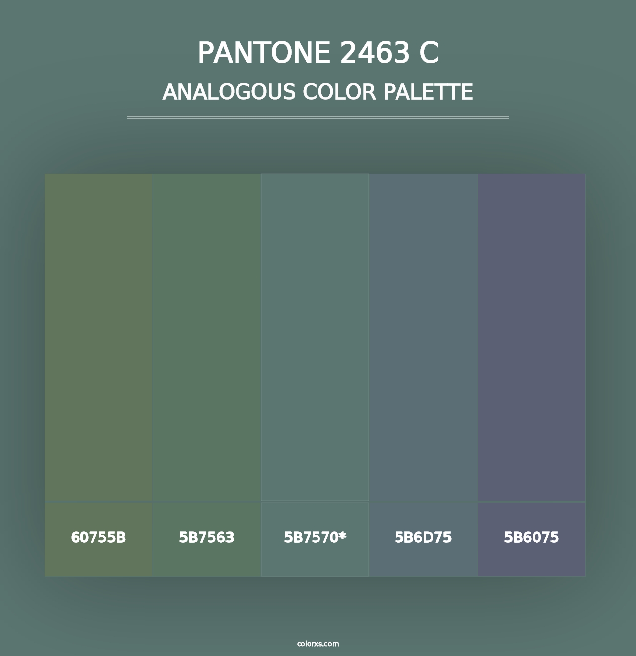 PANTONE 2463 C - Analogous Color Palette