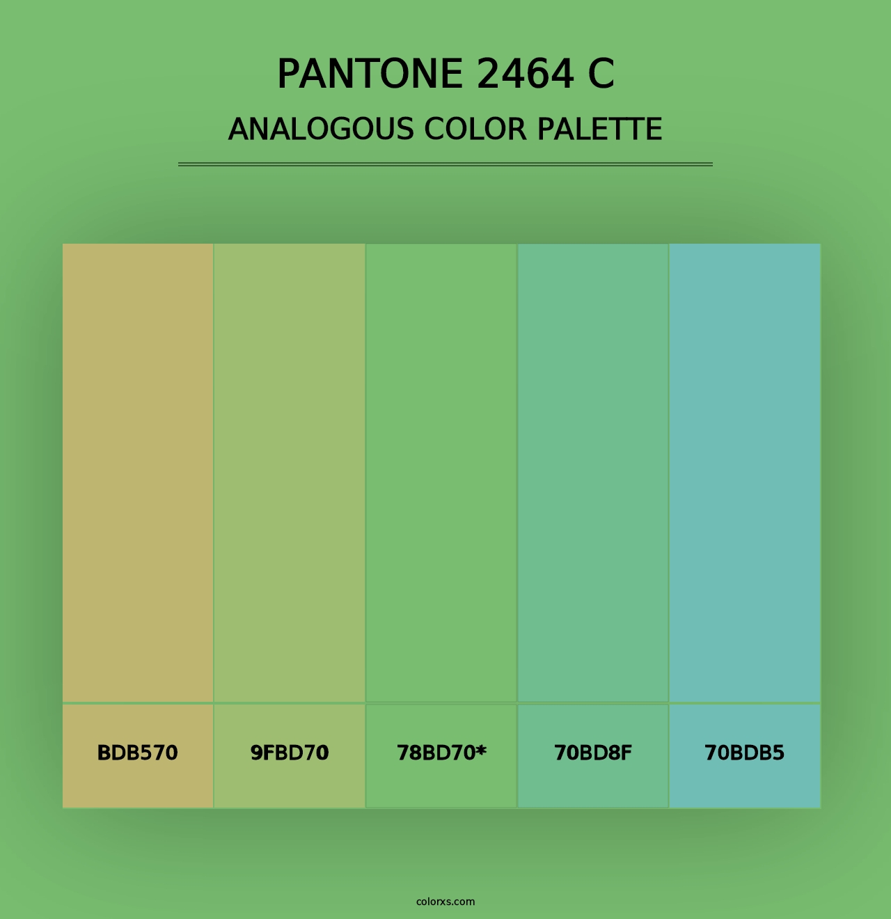 PANTONE 2464 C - Analogous Color Palette