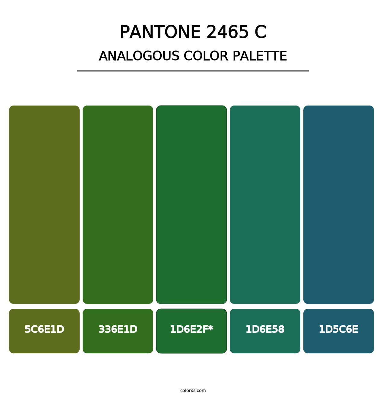 PANTONE 2465 C - Analogous Color Palette