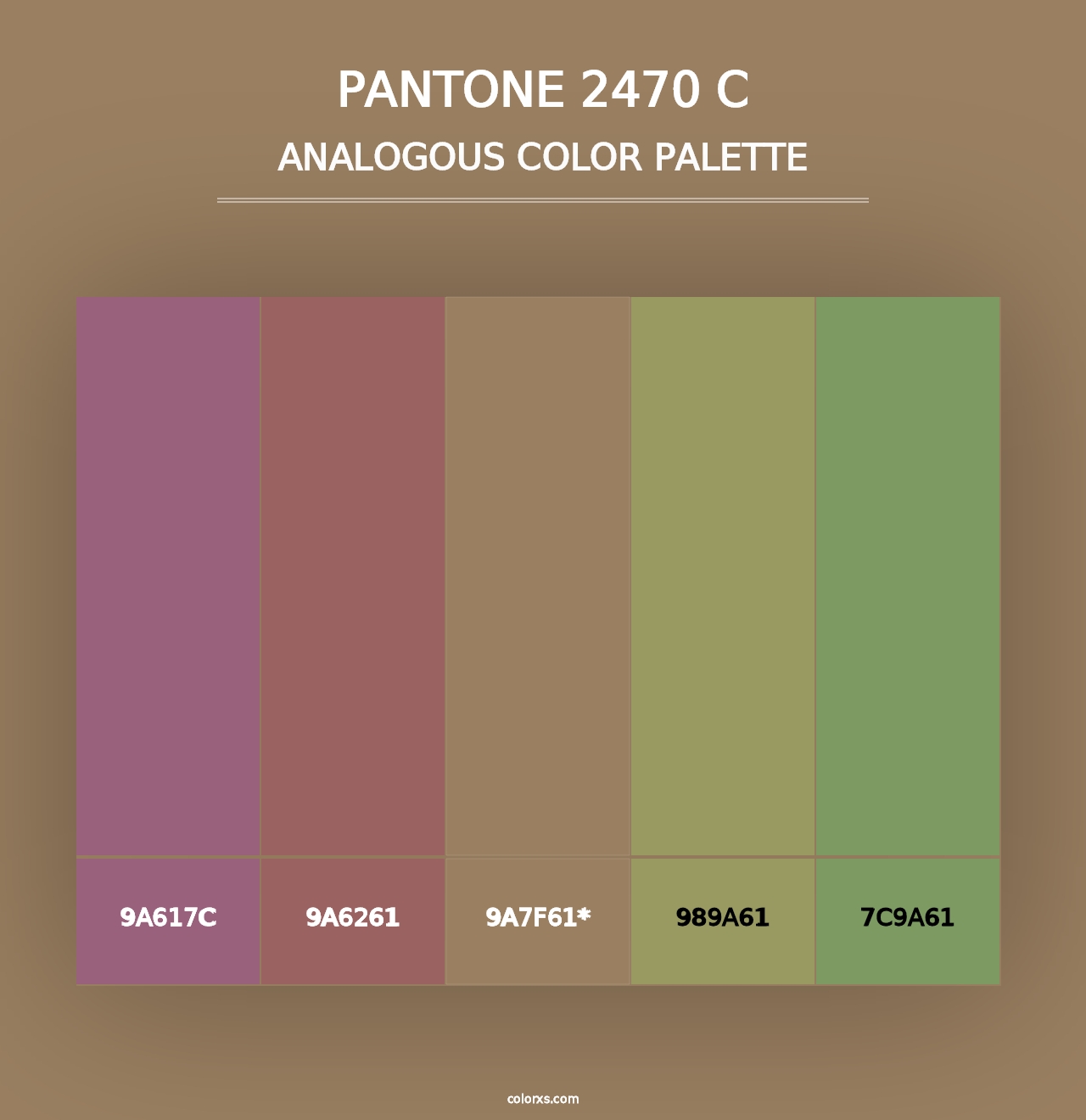 PANTONE 2470 C - Analogous Color Palette