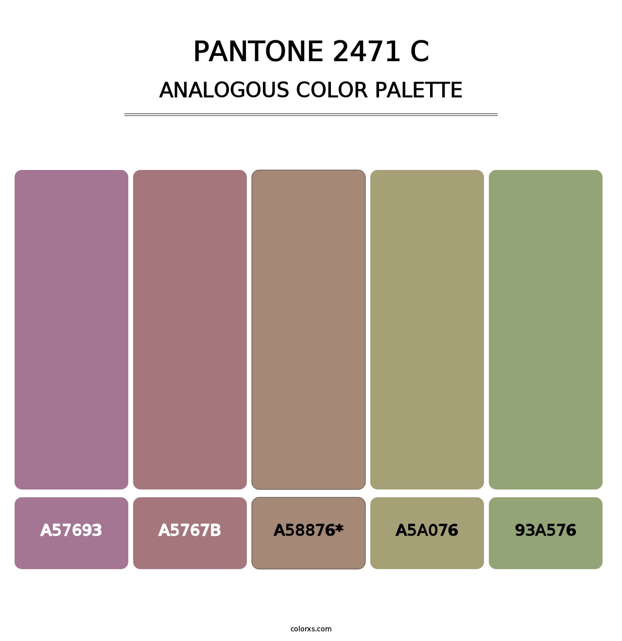 PANTONE 2471 C - Analogous Color Palette