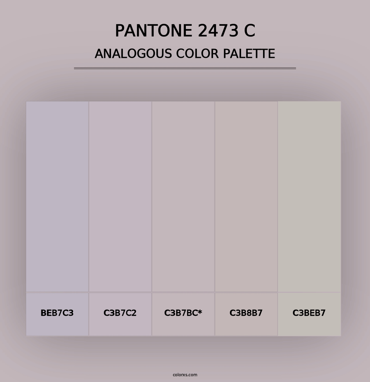 PANTONE 2473 C - Analogous Color Palette