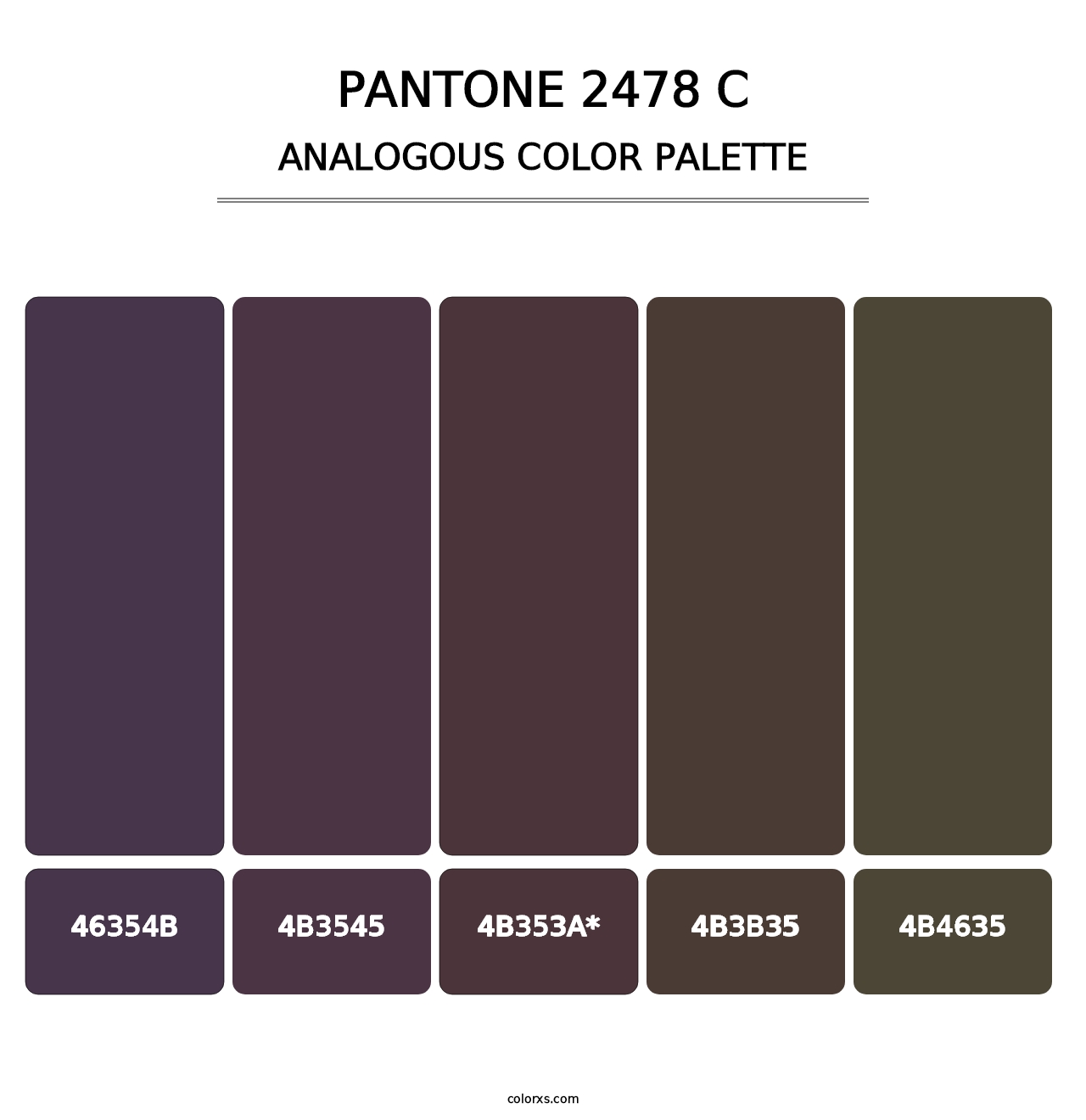 PANTONE 2478 C - Analogous Color Palette