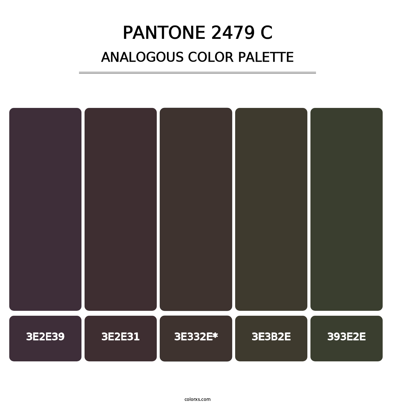 PANTONE 2479 C - Analogous Color Palette