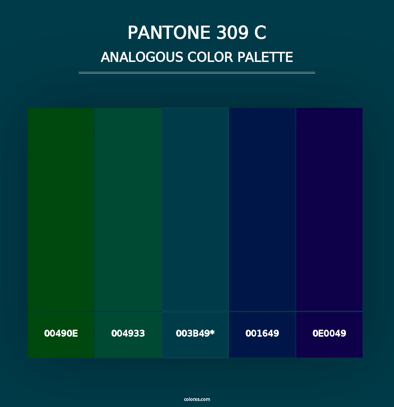 PANTONE 309 C - Analogous Color Palette