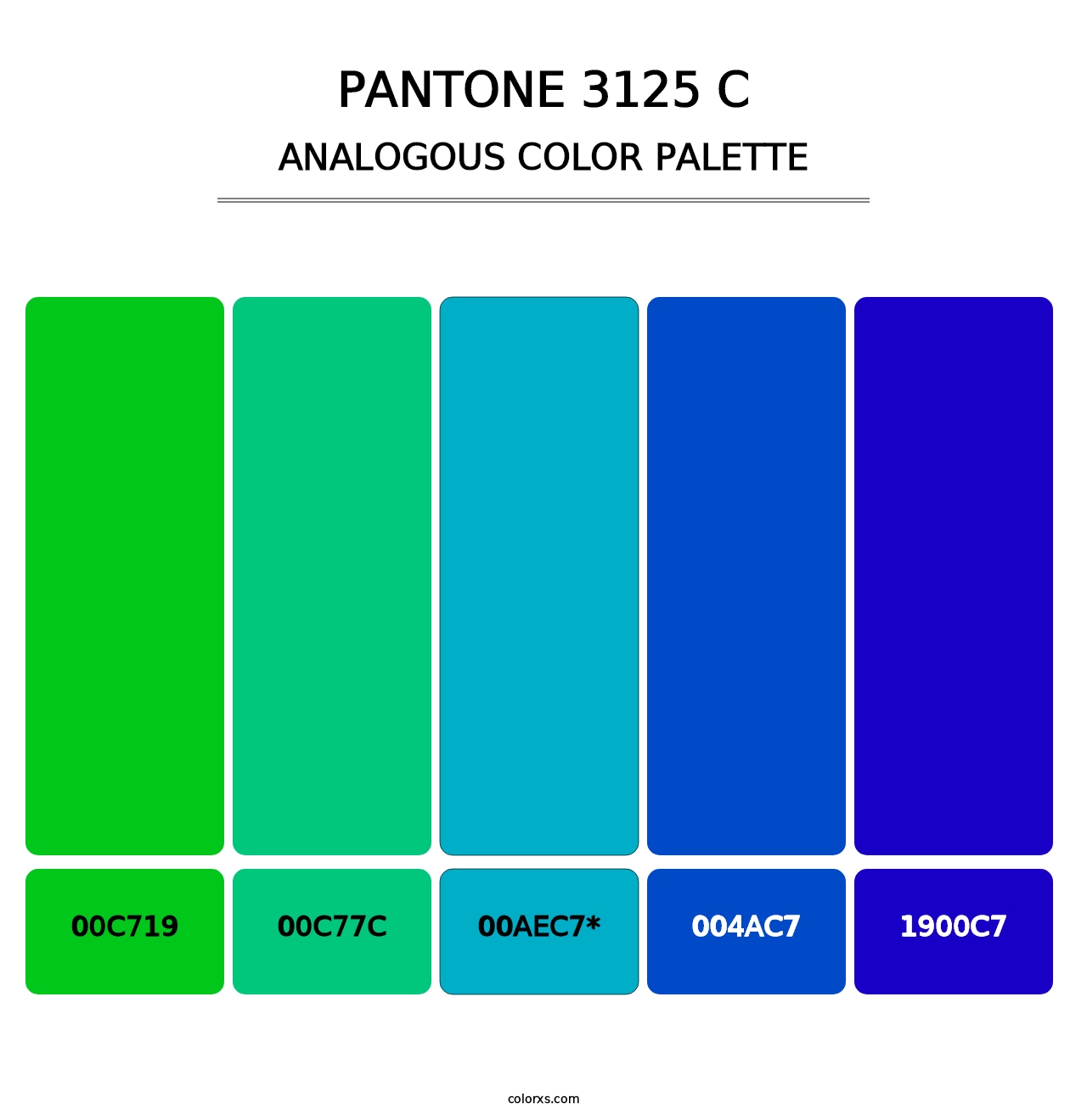 PANTONE 3125 C - Analogous Color Palette