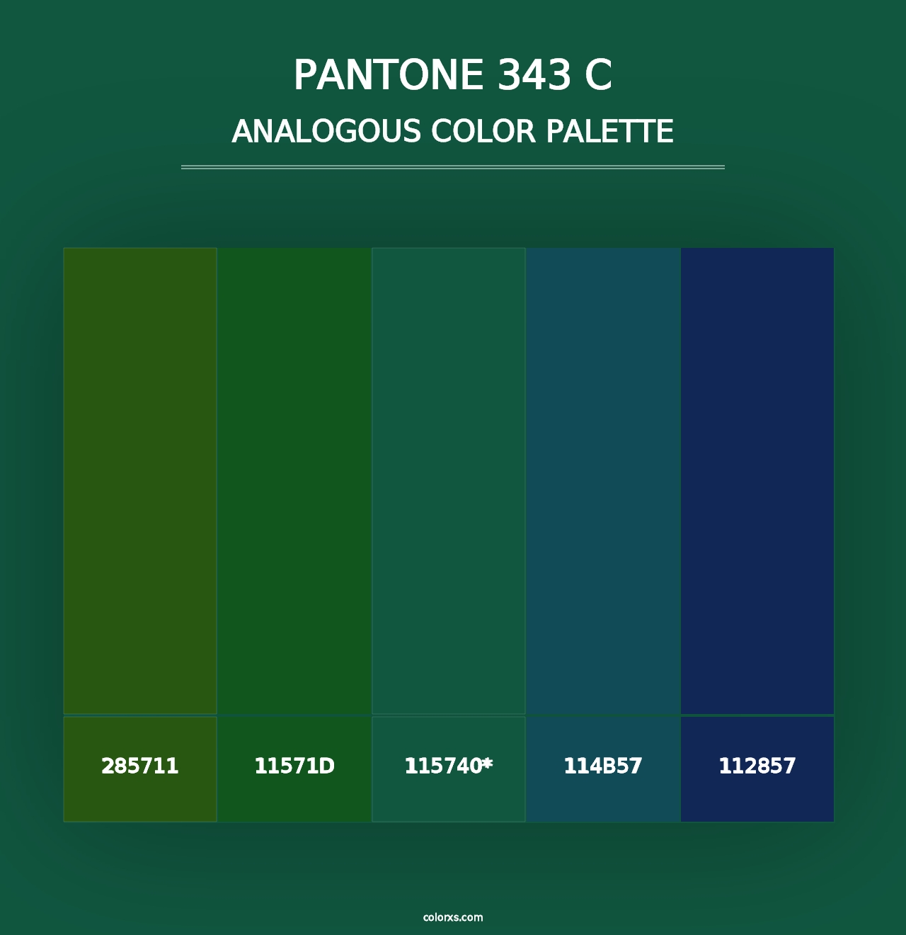 PANTONE 343 C - Analogous Color Palette