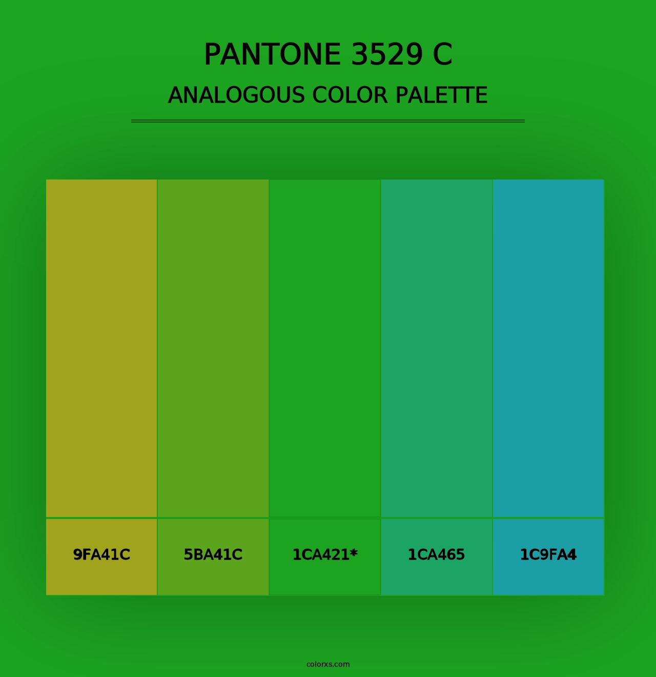 PANTONE 3529 C - Analogous Color Palette