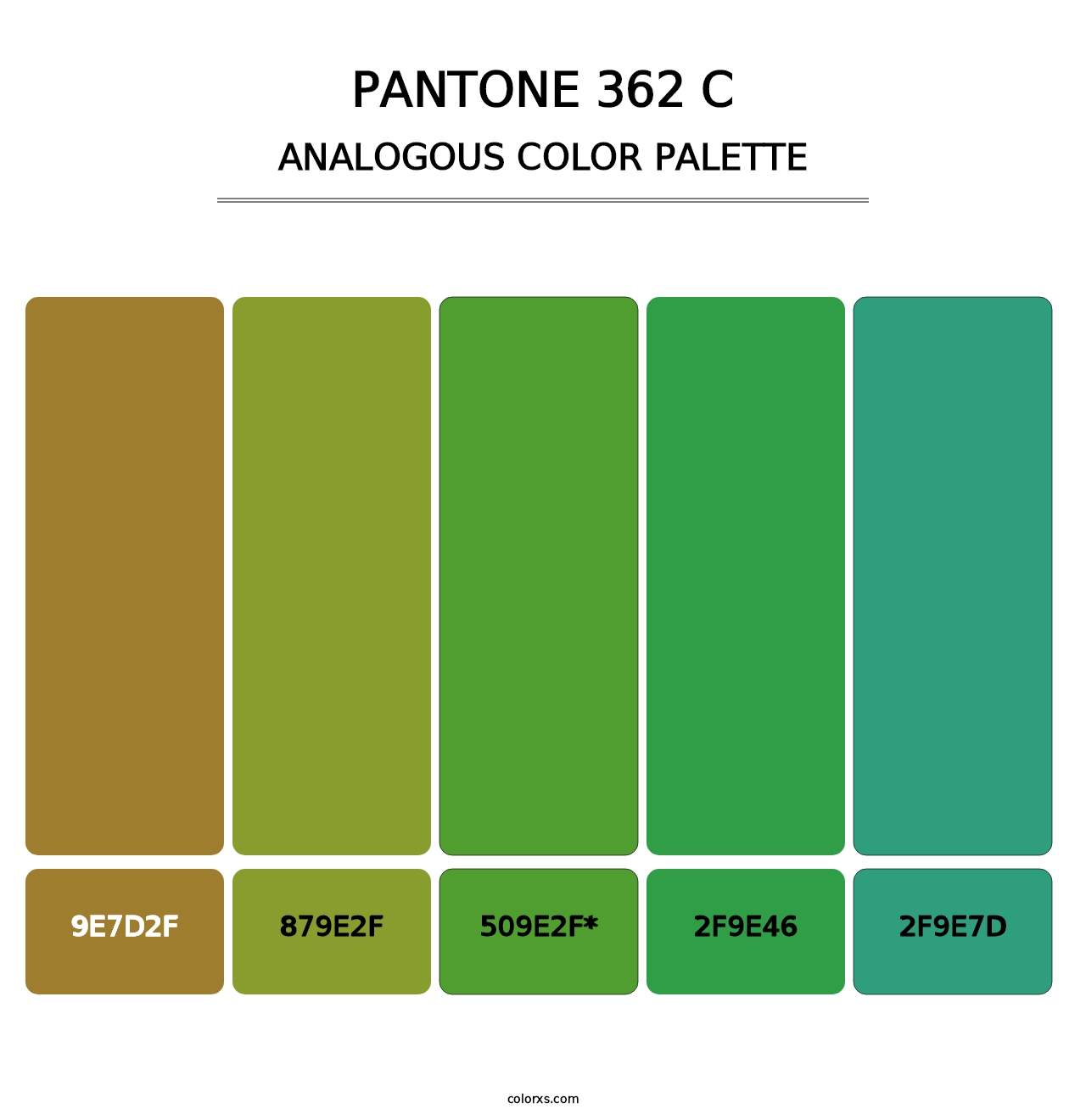 PANTONE 362 C - Analogous Color Palette