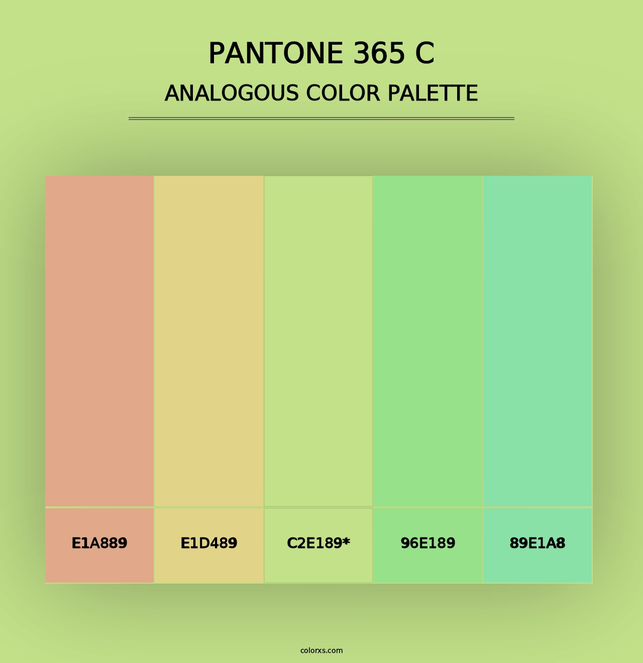 PANTONE 365 C - Analogous Color Palette