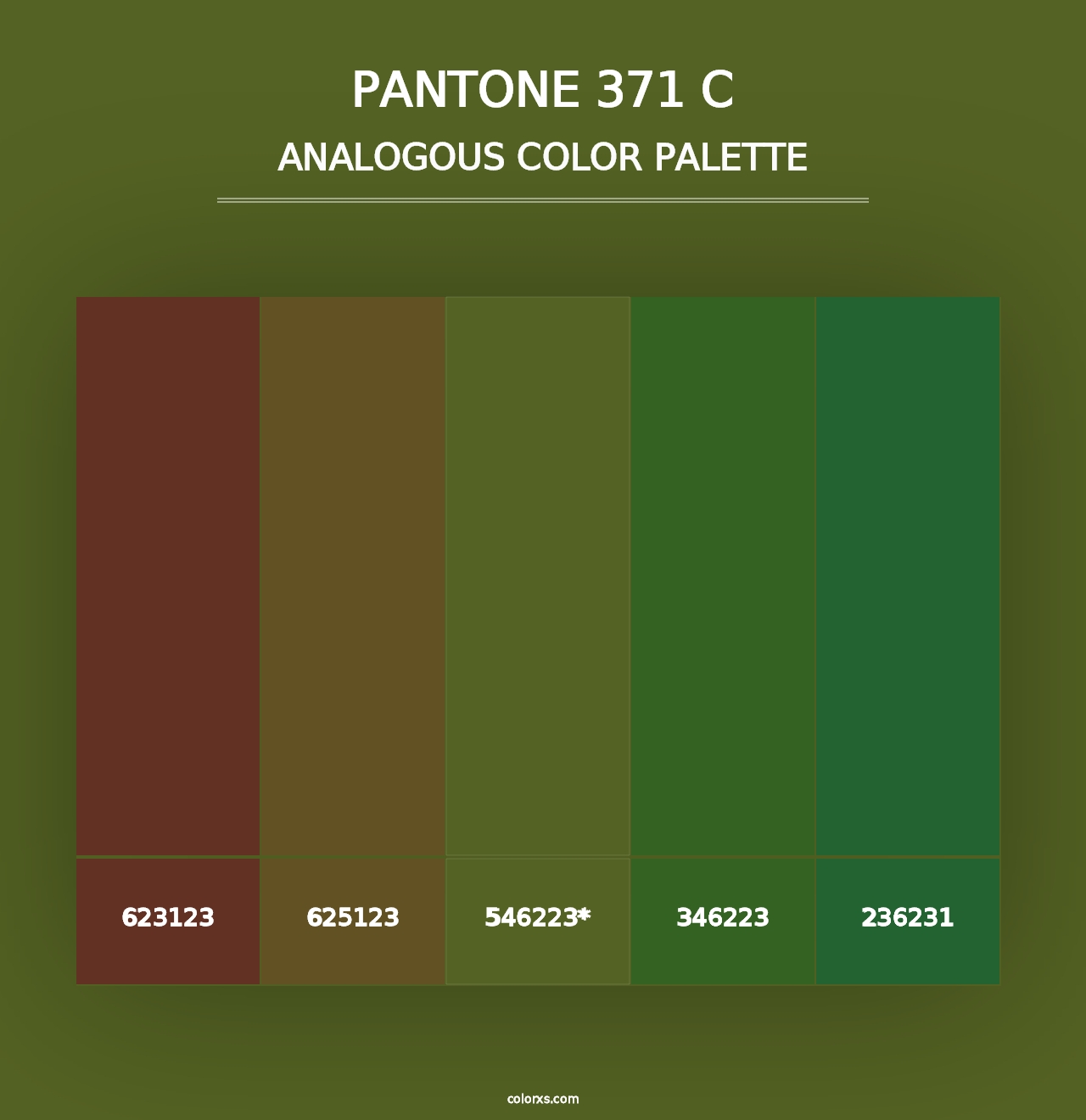 PANTONE 371 C - Analogous Color Palette