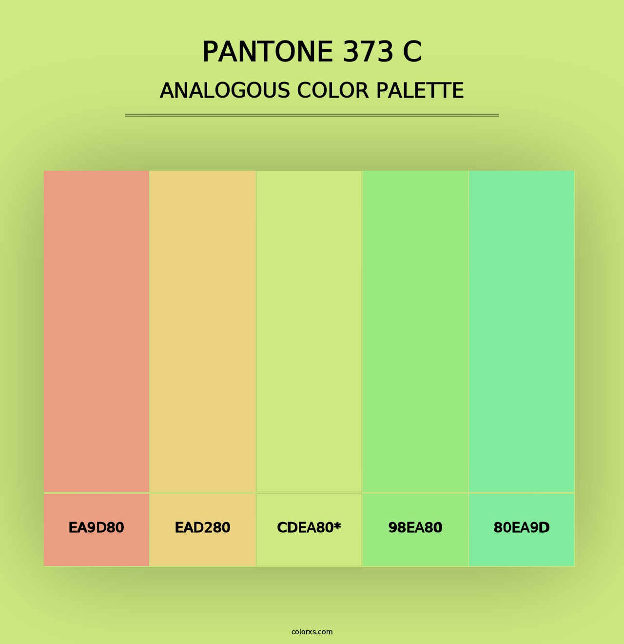 PANTONE 373 C - Analogous Color Palette